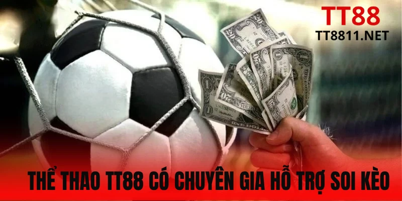 Chuyên gia thể thao TT88 hỗ trợ nhận định trận đấu